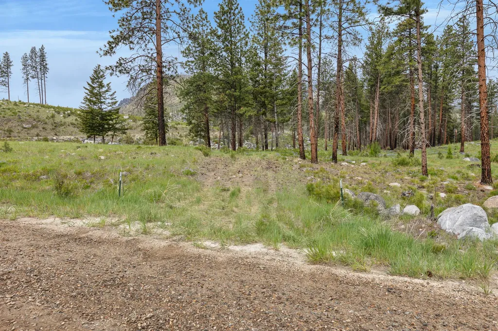 Lot 8 Roaring Lion Road Hamilton MT 59840