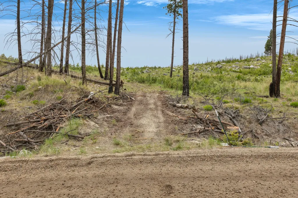 Lot 8 Roaring Lion Road Hamilton MT 59840