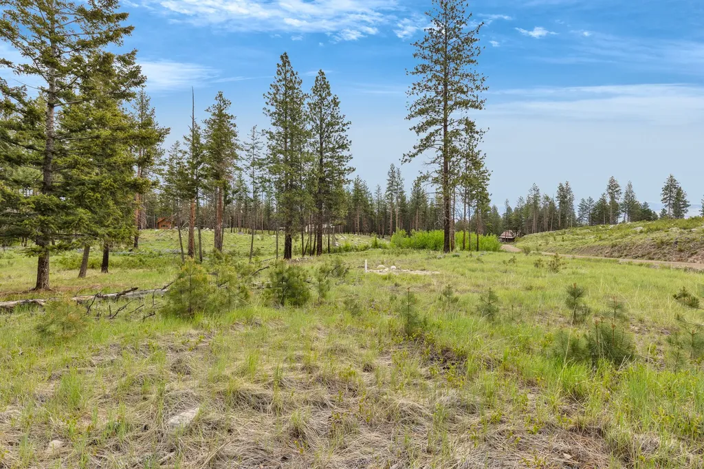 Lot 8 Roaring Lion Road Hamilton MT 59840