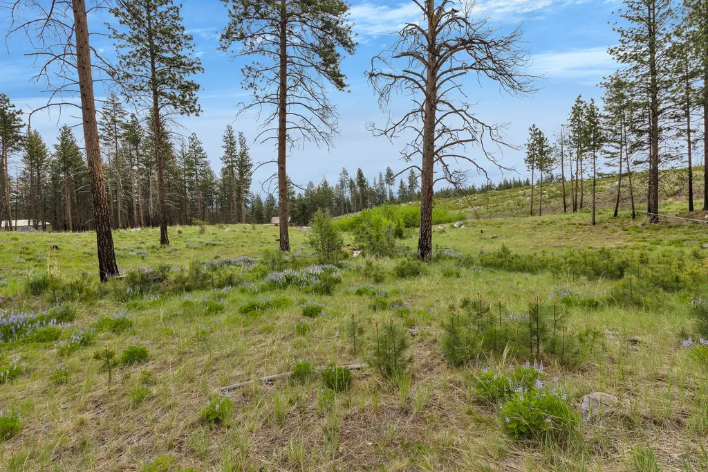 Lot 8 Roaring Lion Road Hamilton MT 59840
