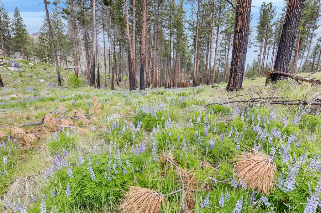 Lot 8 Roaring Lion Road Hamilton MT 59840