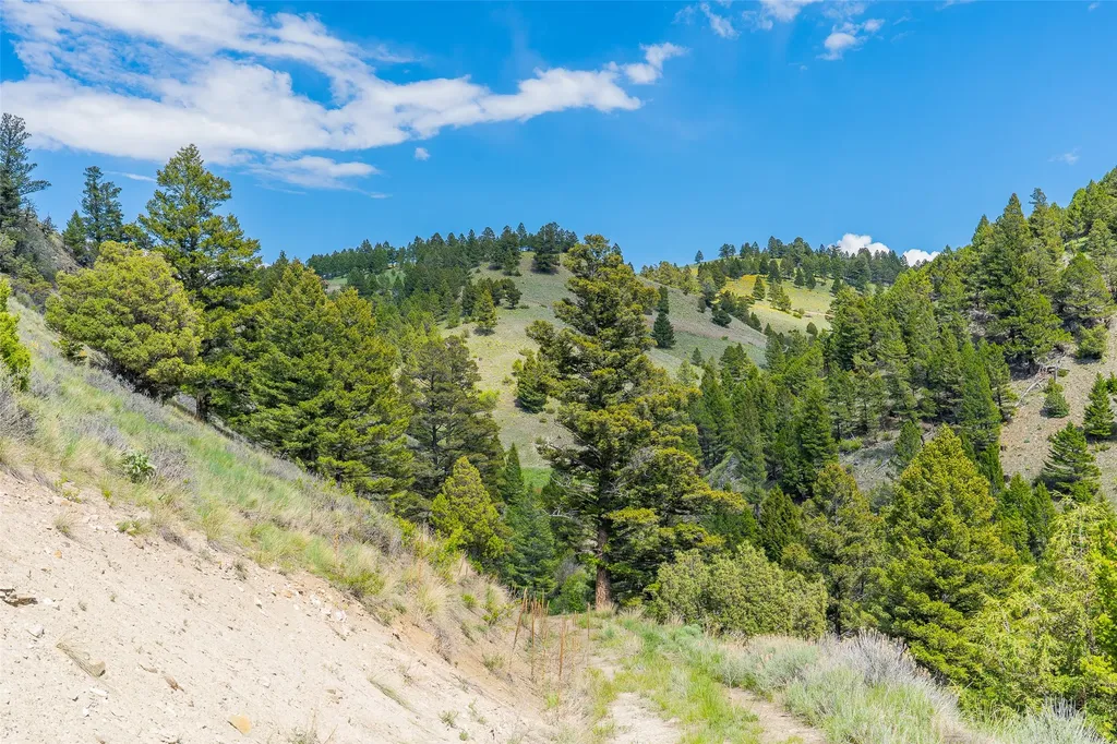 Tbd Lot 52 Blackfoot Road Garrison MT 59731