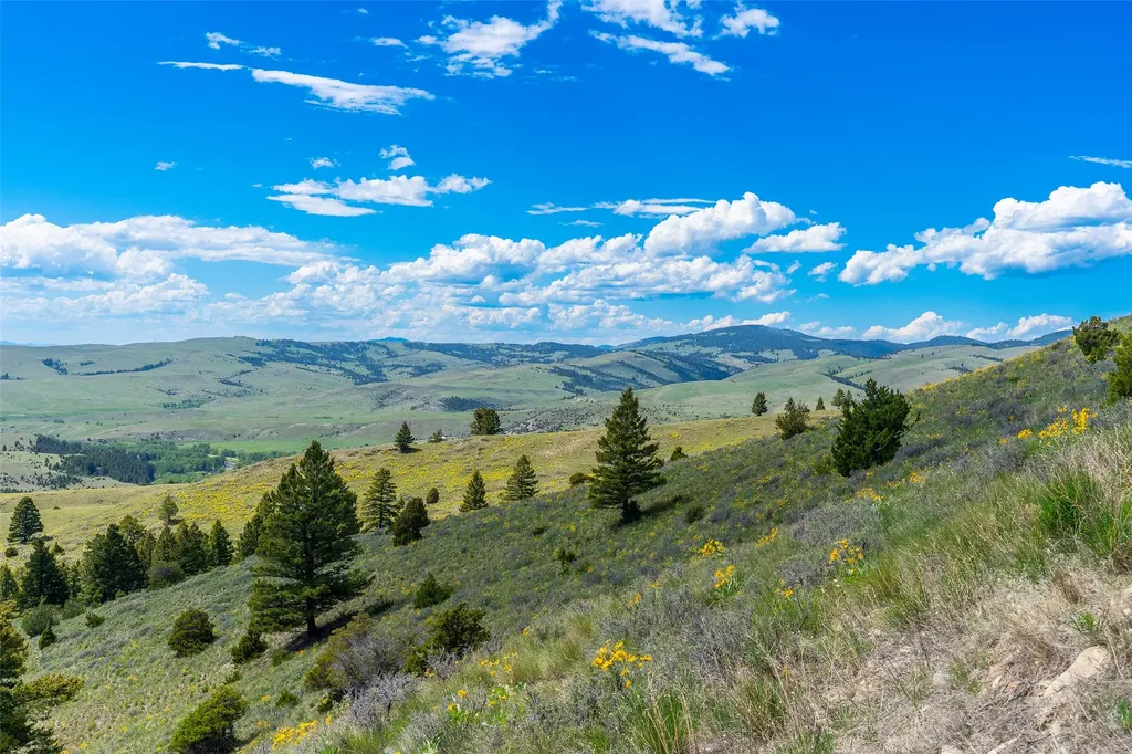 Tbd Lot 52 Blackfoot Road Garrison MT 59731
