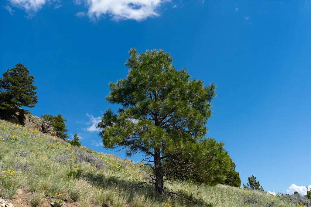 Tbd Lot 52 Blackfoot Road Garrison MT 59731