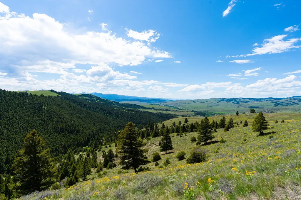Tbd Lot 52 Blackfoot Road Garrison MT 59731