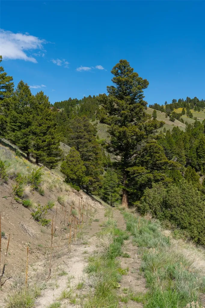 Tbd Lot 52 Blackfoot Road Garrison MT 59731