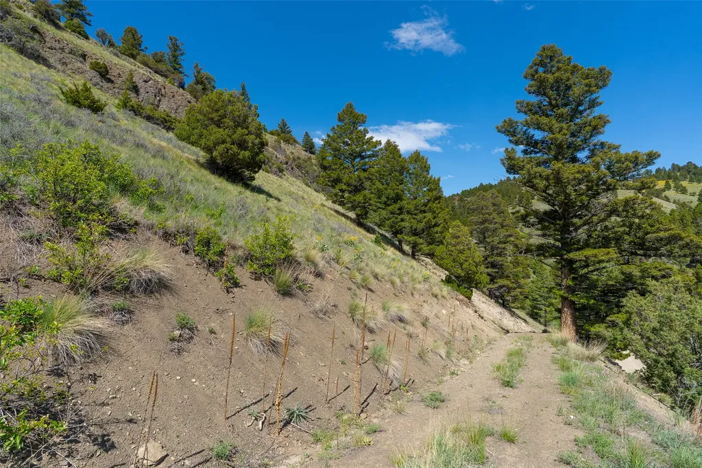 Tbd Lot 52 Blackfoot Road Garrison MT 59731
