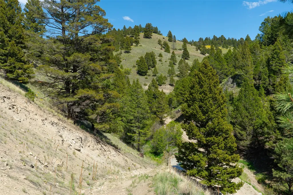 Tbd Lot 52 Blackfoot Road Garrison MT 59731