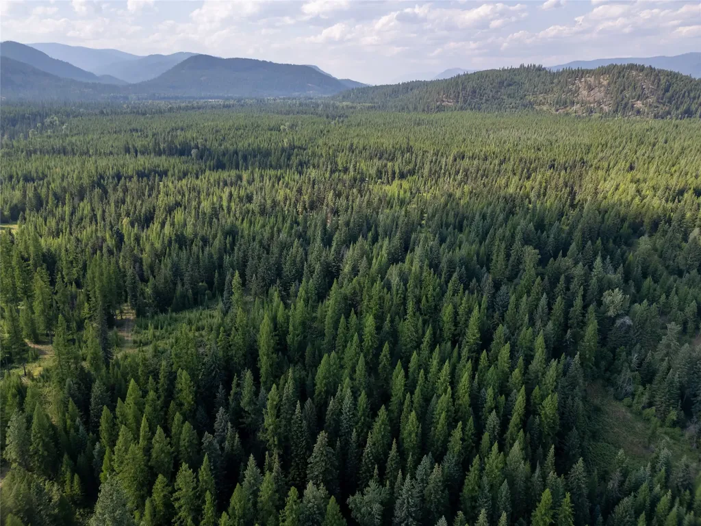 4340 Lake Creek Road Troy MT 59935