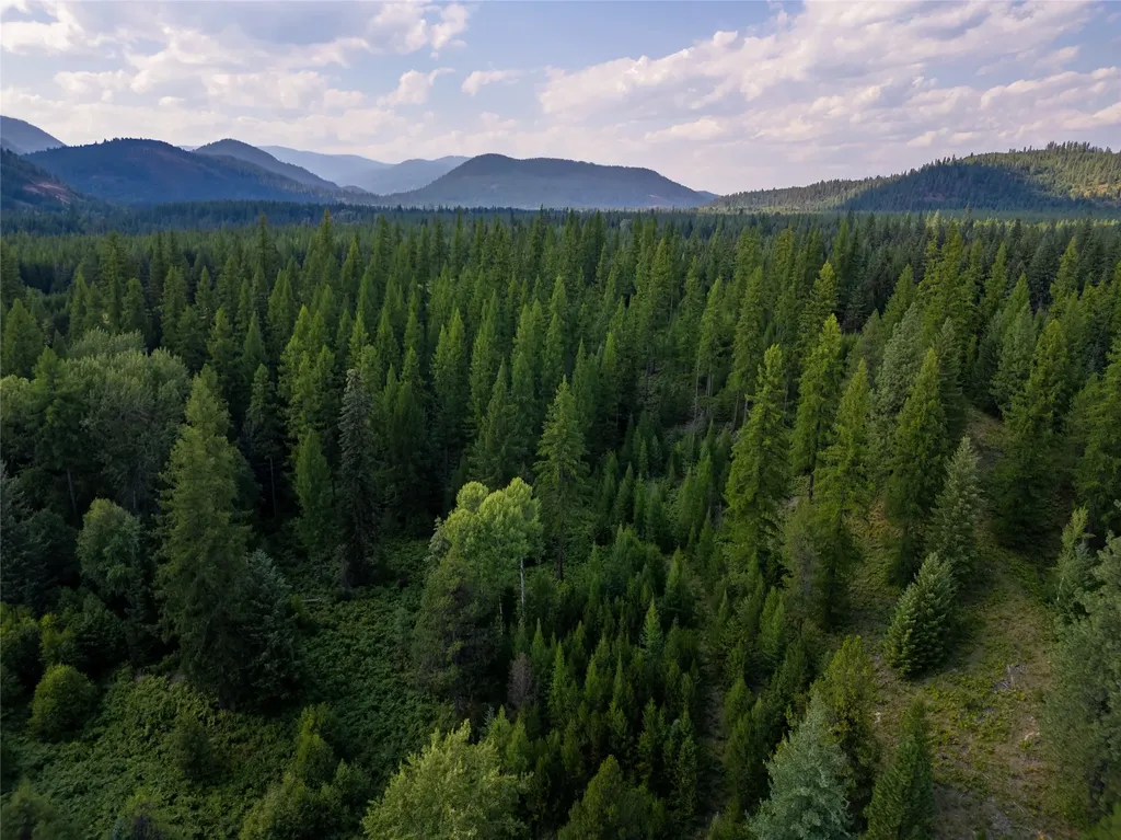 4340 Lake Creek Road Troy MT 59935