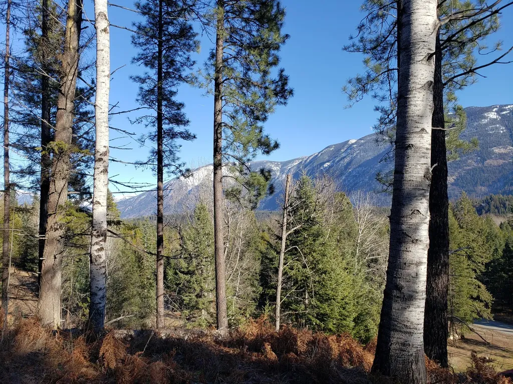4340 Lake Creek Road Troy MT 59935
