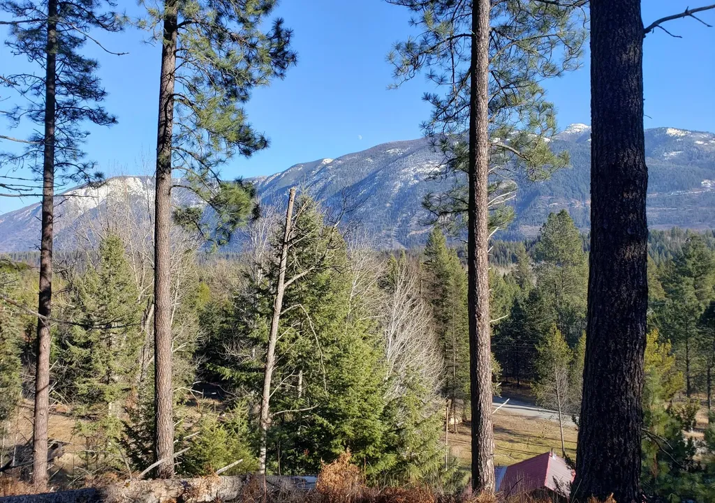 4340 Lake Creek Road Troy MT 59935
