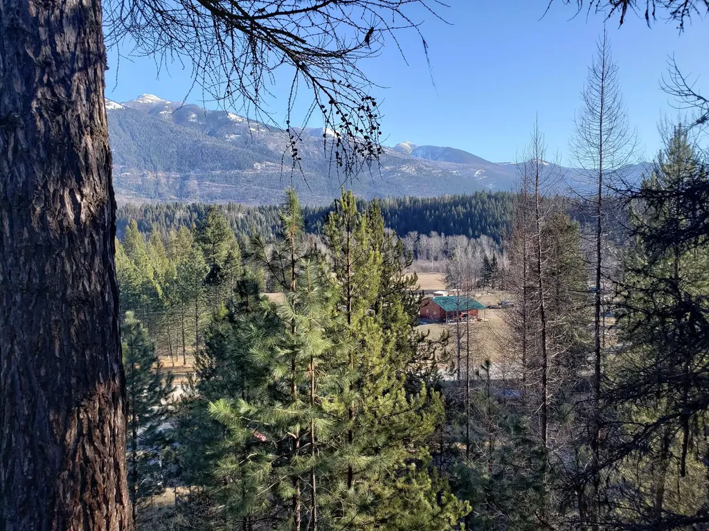 4340 Lake Creek Road Troy MT 59935