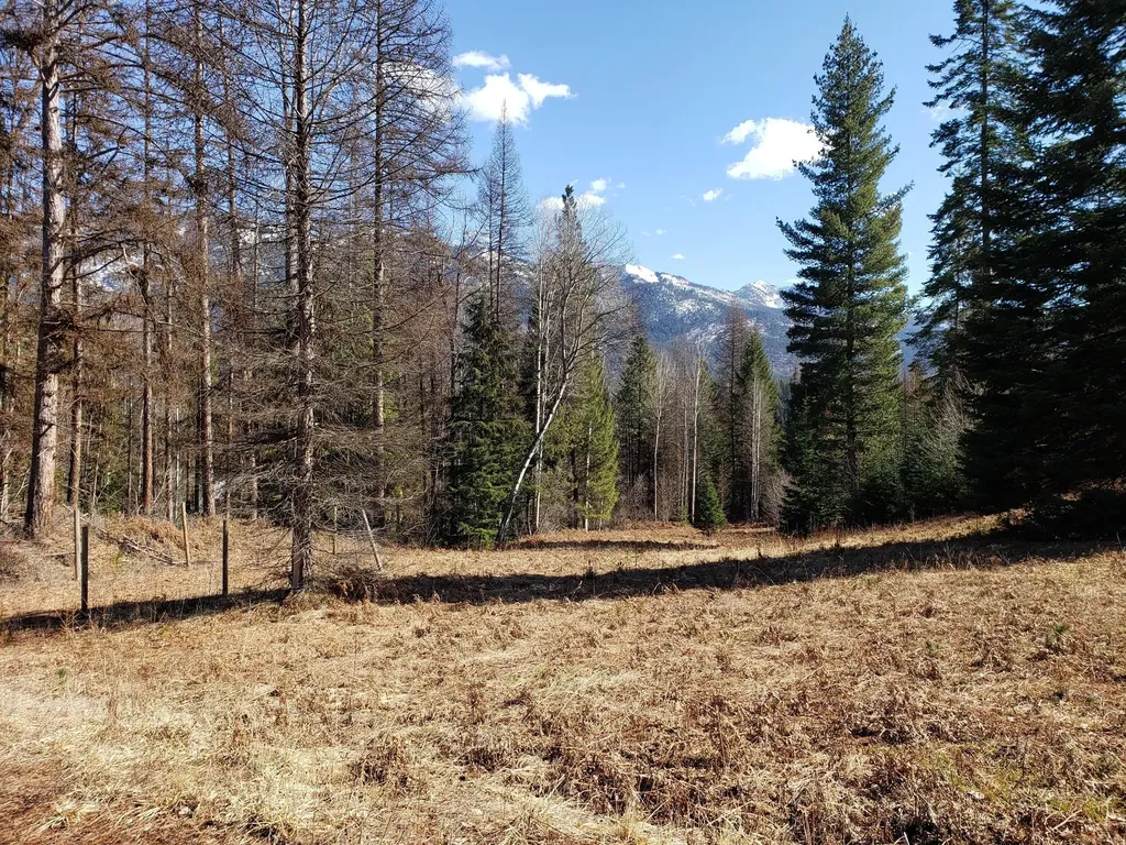 4340 Lake Creek Road Troy MT 59935
