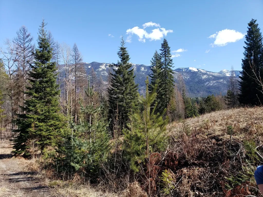 4340 Lake Creek Road Troy MT 59935