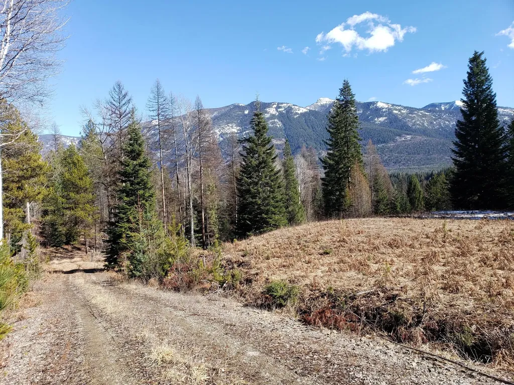 4340 Lake Creek Road Troy MT 59935