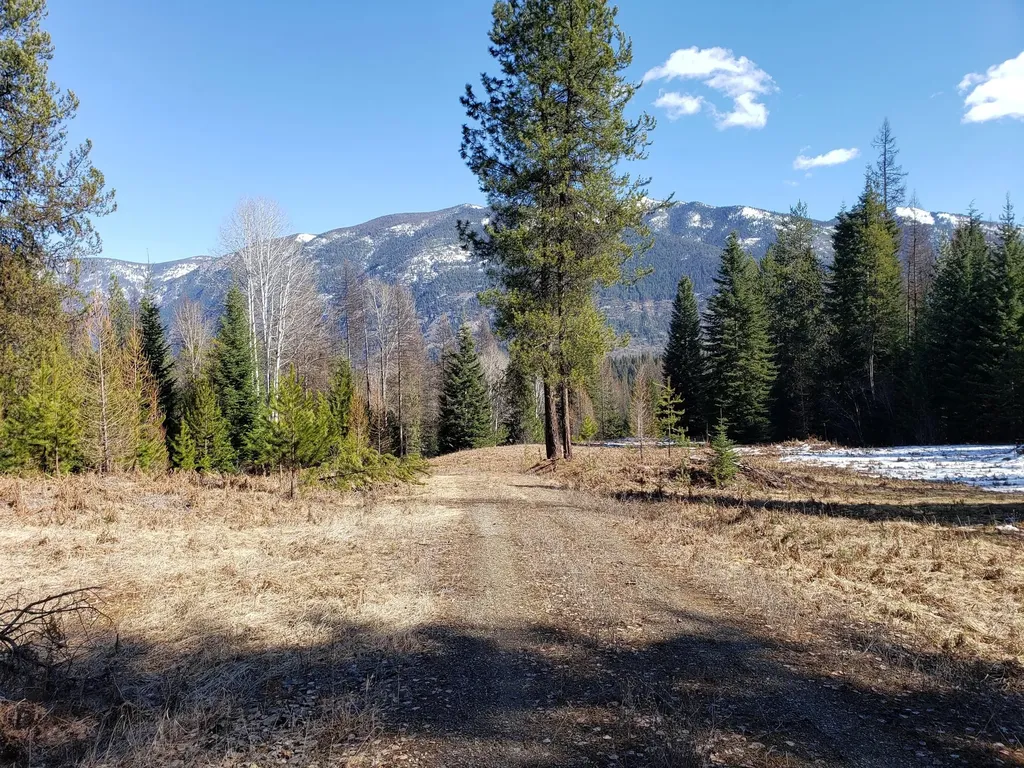 4340 Lake Creek Road Troy MT 59935