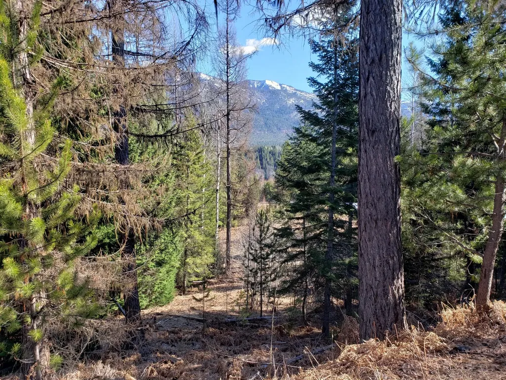 4340 Lake Creek Road Troy MT 59935