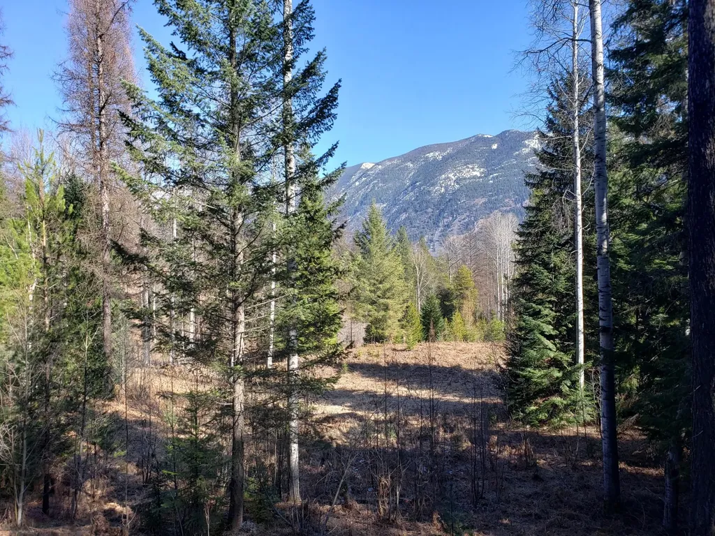 4340 Lake Creek Road Troy MT 59935