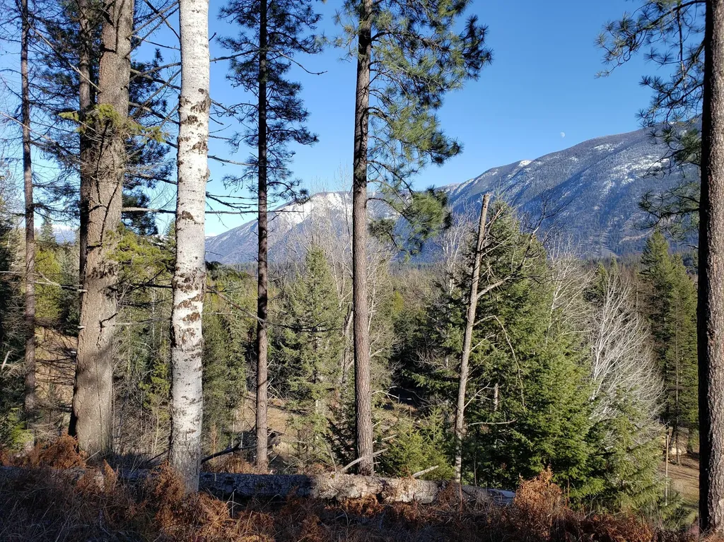 4340 Lake Creek Road Troy MT 59935
