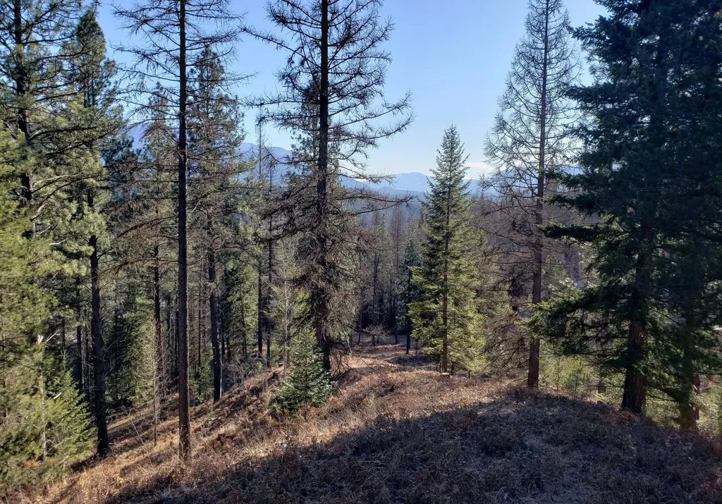 4340 Lake Creek Road Troy MT 59935