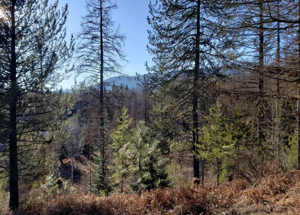 4340 Lake Creek Road Troy MT 59935