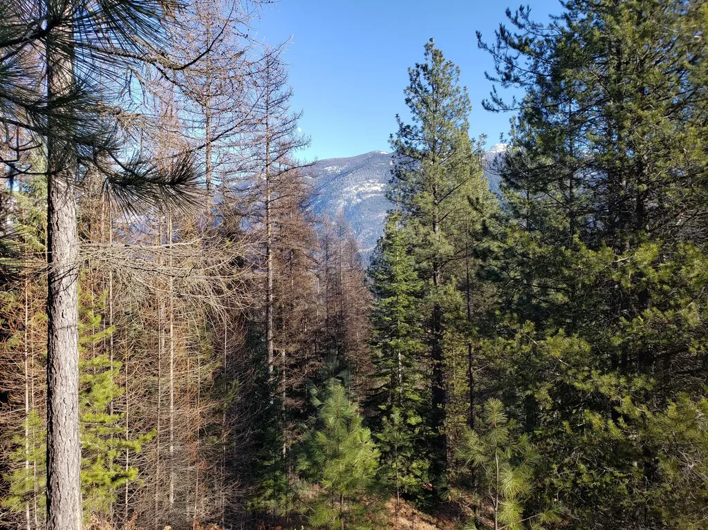 4340 Lake Creek Road Troy MT 59935