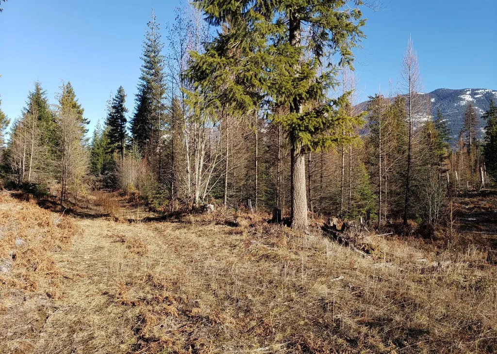 4340 Lake Creek Road Troy MT 59935