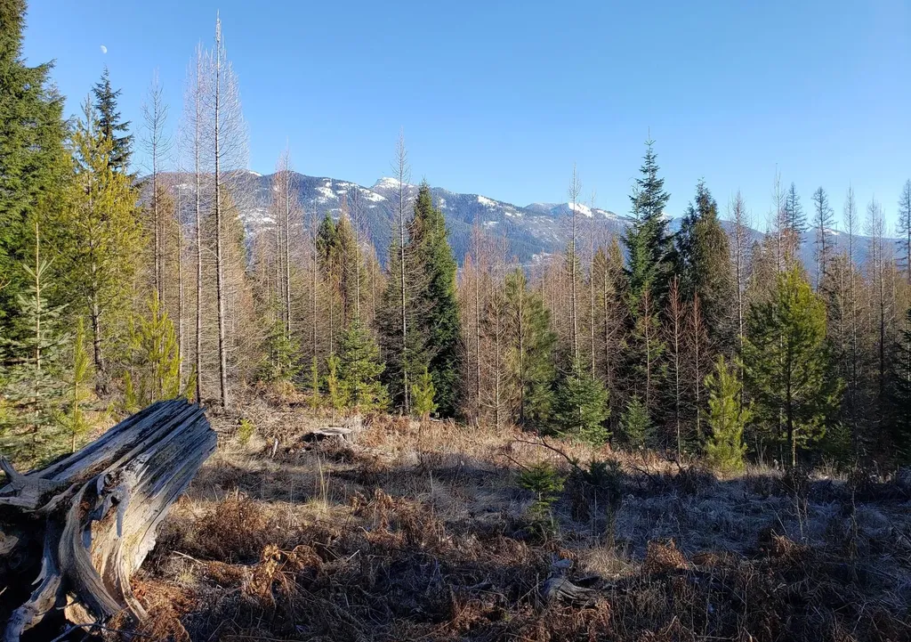 4340 Lake Creek Road Troy MT 59935