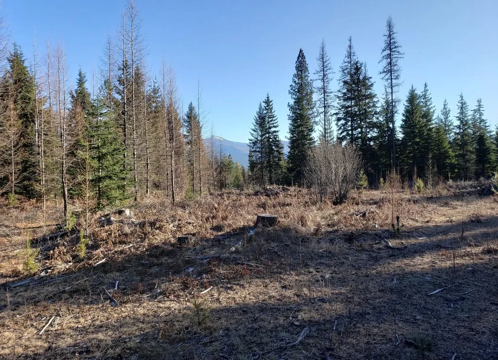 4340 Lake Creek Road Troy MT 59935
