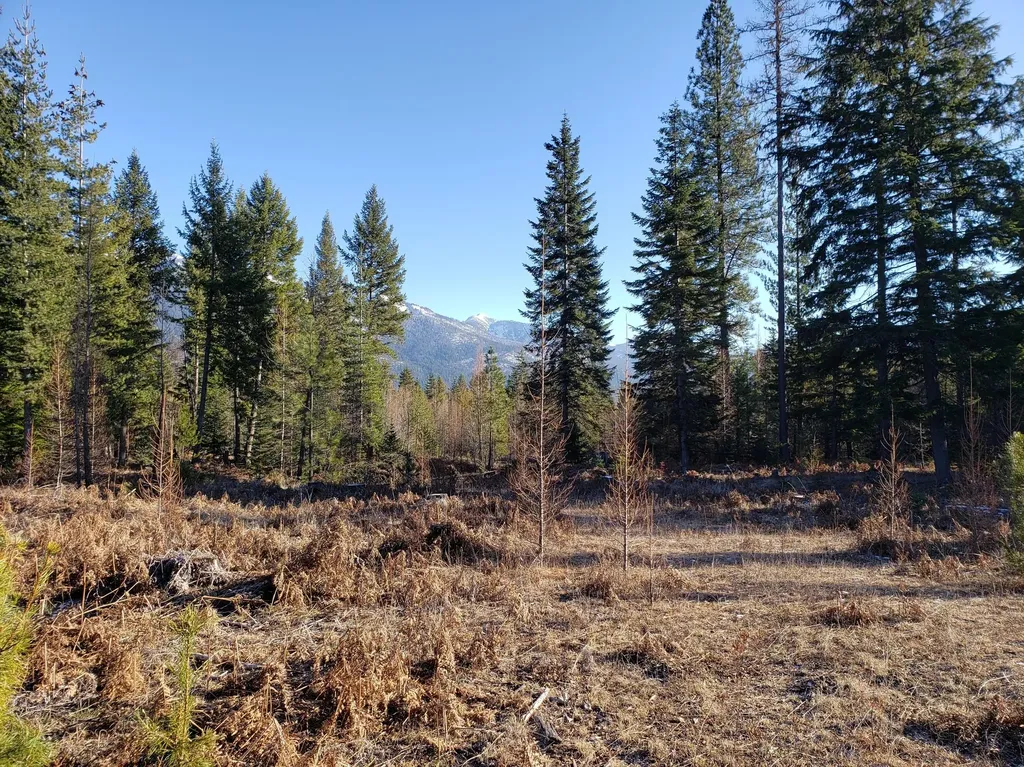 4340 Lake Creek Road Troy MT 59935