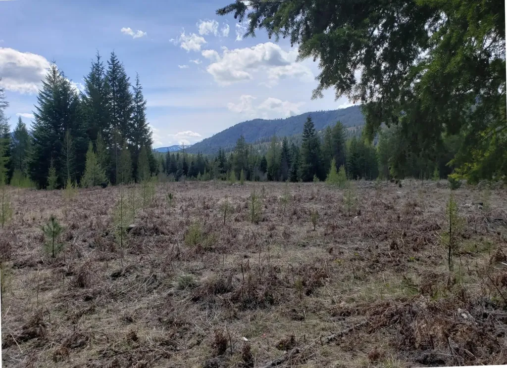 4340 Lake Creek Road Troy MT 59935