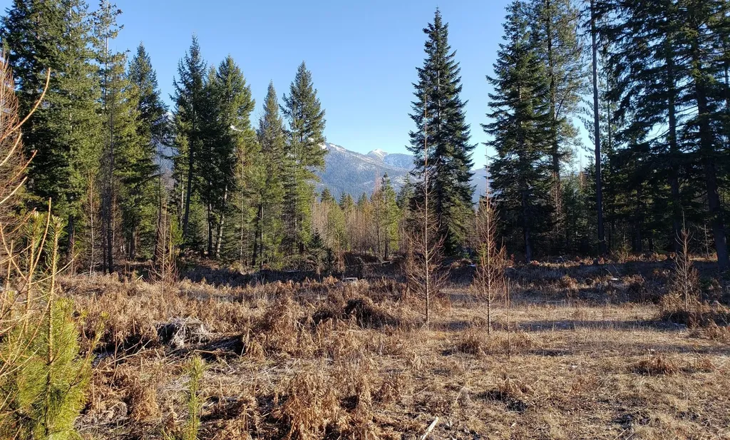 4340 Lake Creek Road Troy MT 59935