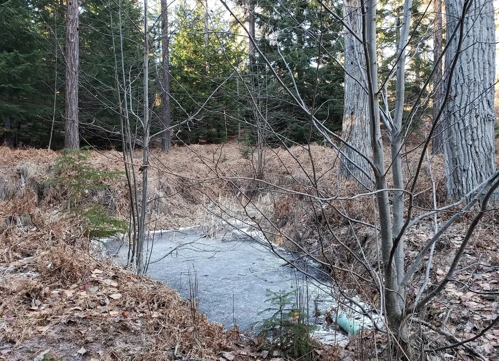 4340 Lake Creek Road Troy MT 59935