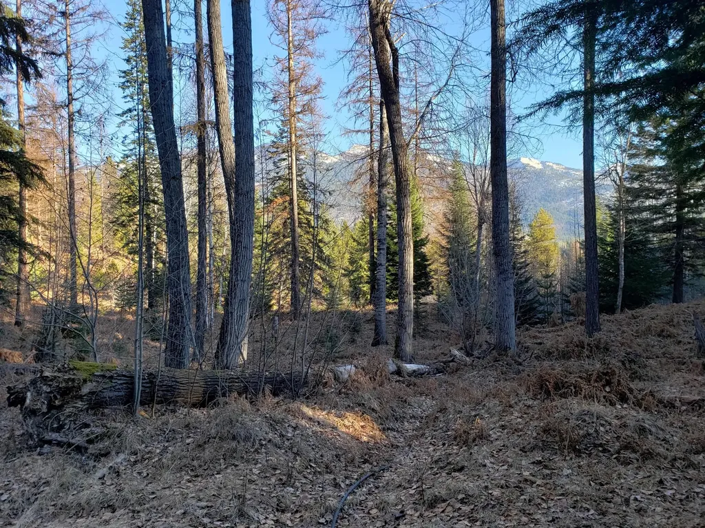 4340 Lake Creek Road Troy MT 59935