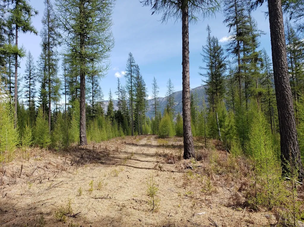 4340 Lake Creek Road Troy MT 59935