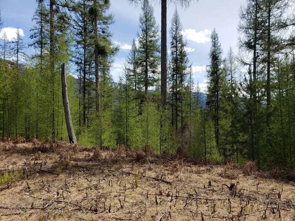 4340 Lake Creek Road Troy MT 59935