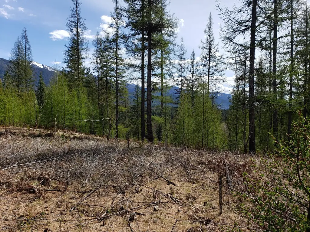 4340 Lake Creek Road Troy MT 59935