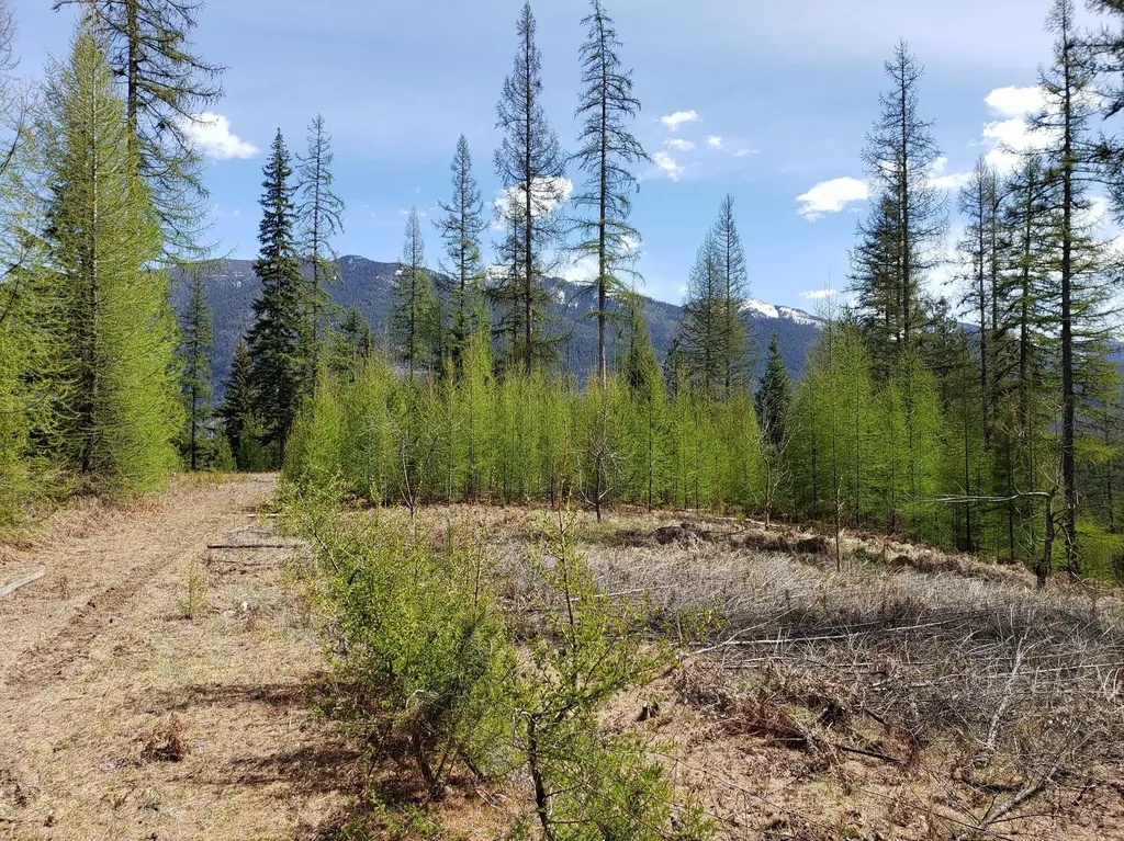 4340 Lake Creek Road Troy MT 59935