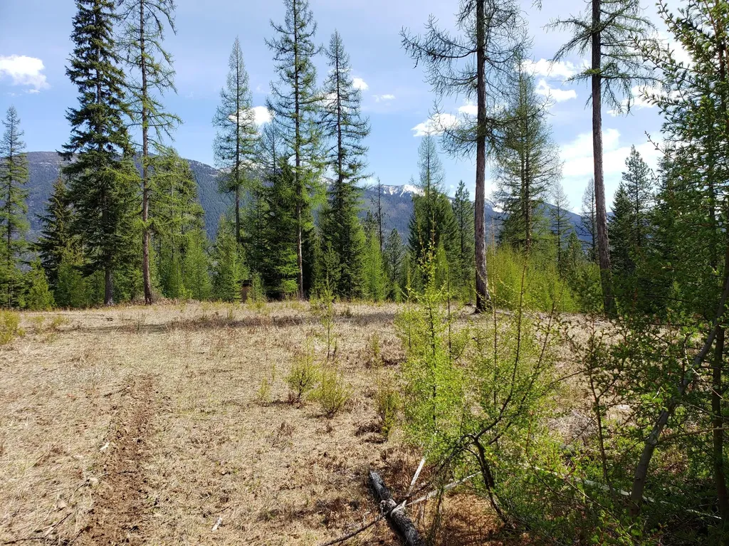 4340 Lake Creek Road Troy MT 59935