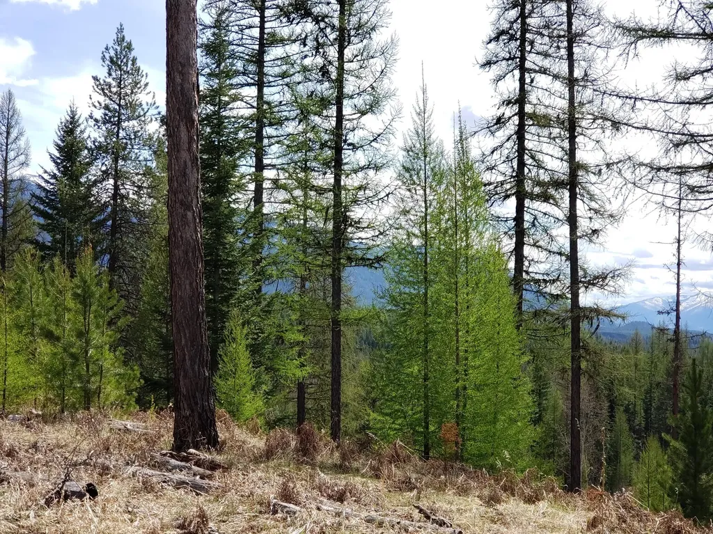 4340 Lake Creek Road Troy MT 59935