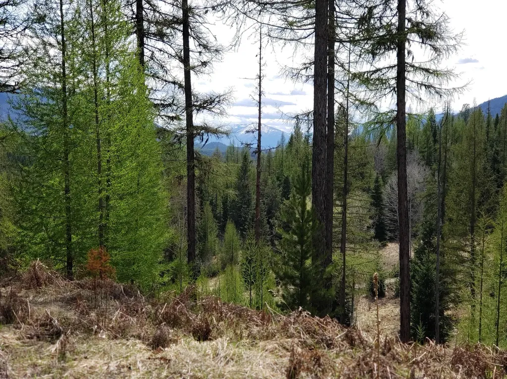 4340 Lake Creek Road Troy MT 59935