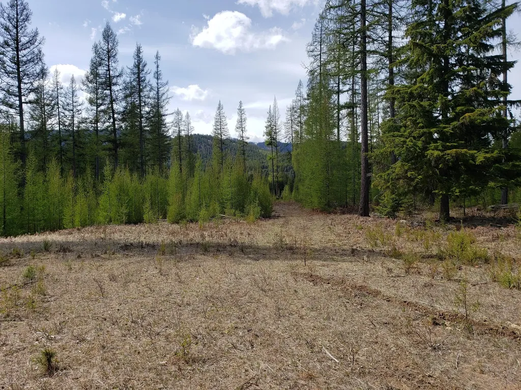 4340 Lake Creek Road Troy MT 59935