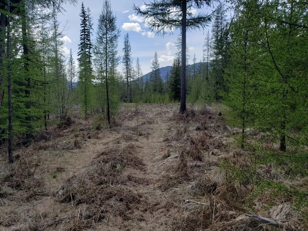 4340 Lake Creek Road Troy MT 59935