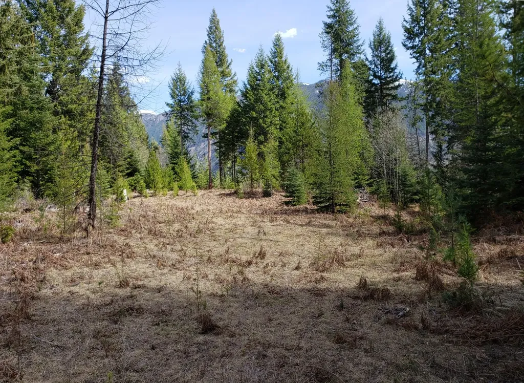 4340 Lake Creek Road Troy MT 59935