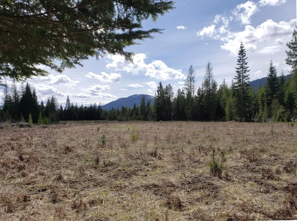 4340 Lake Creek Road Troy MT 59935