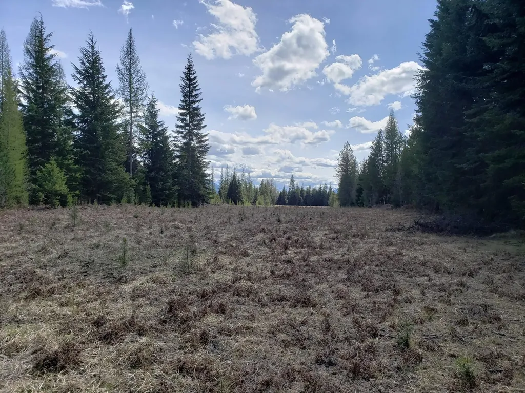 4340 Lake Creek Road Troy MT 59935