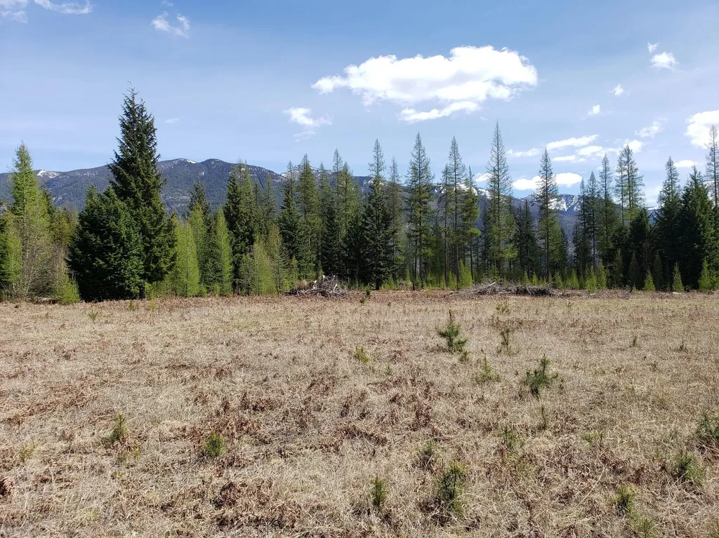 4340 Lake Creek Road Troy MT 59935