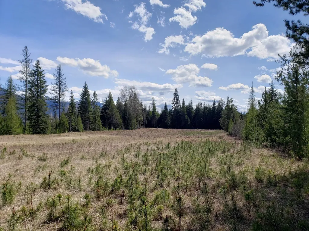 4340 Lake Creek Road Troy MT 59935