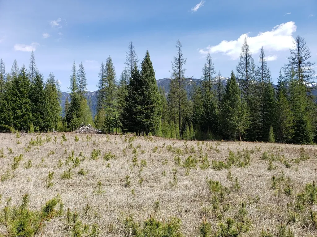 4340 Lake Creek Road Troy MT 59935
